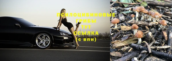 скорость Алексин